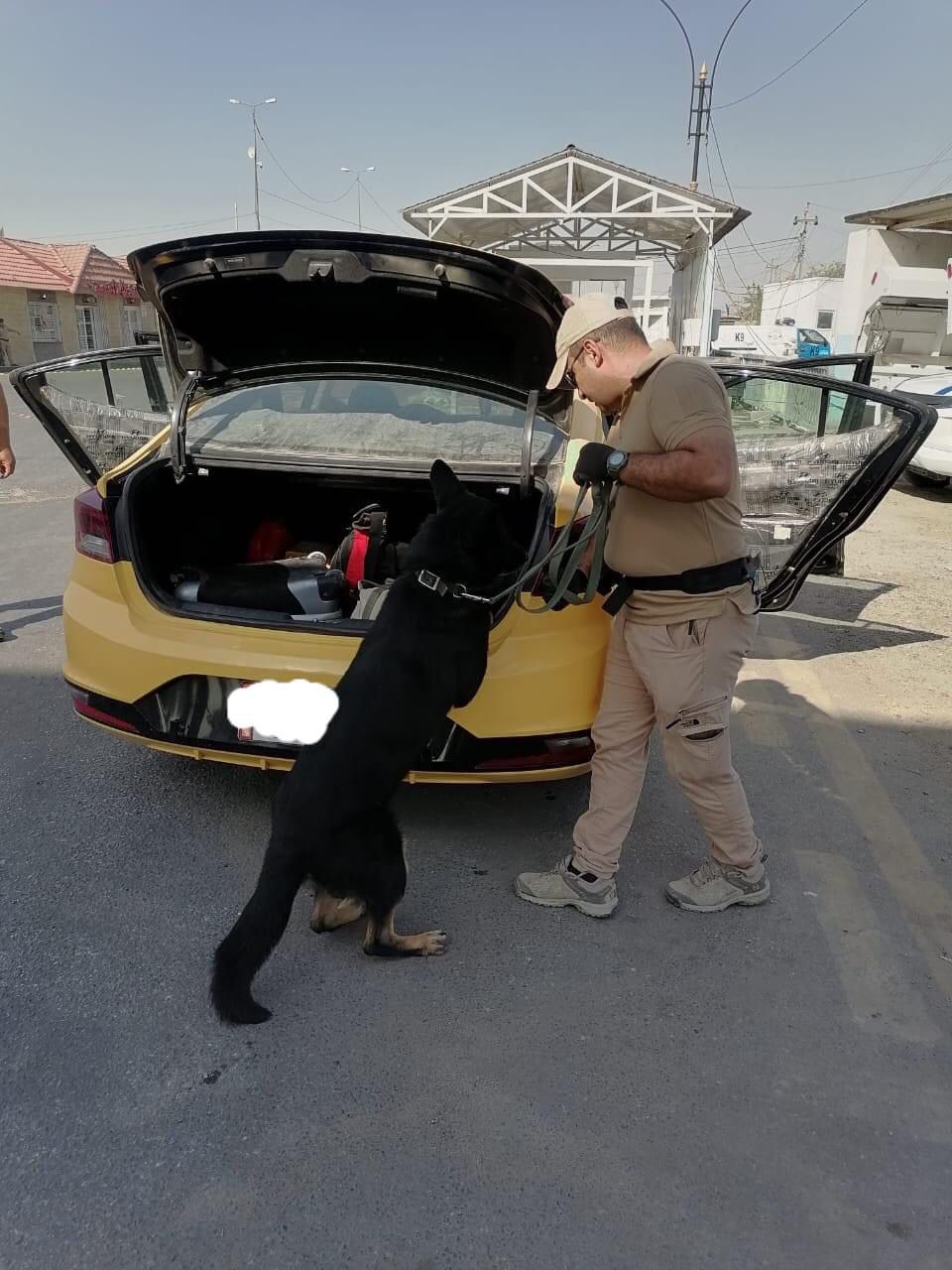 الديوانية: مفارز ال K9 تشارك بحماية الزائرين في كربلاء المقدسة