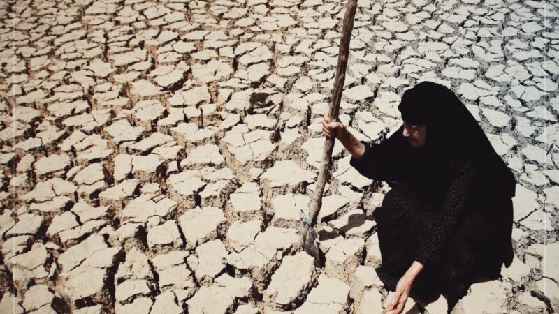 الأمم المتحدة تحذر: العراق يخسر 400 ألف دونم زراعي سنوياً