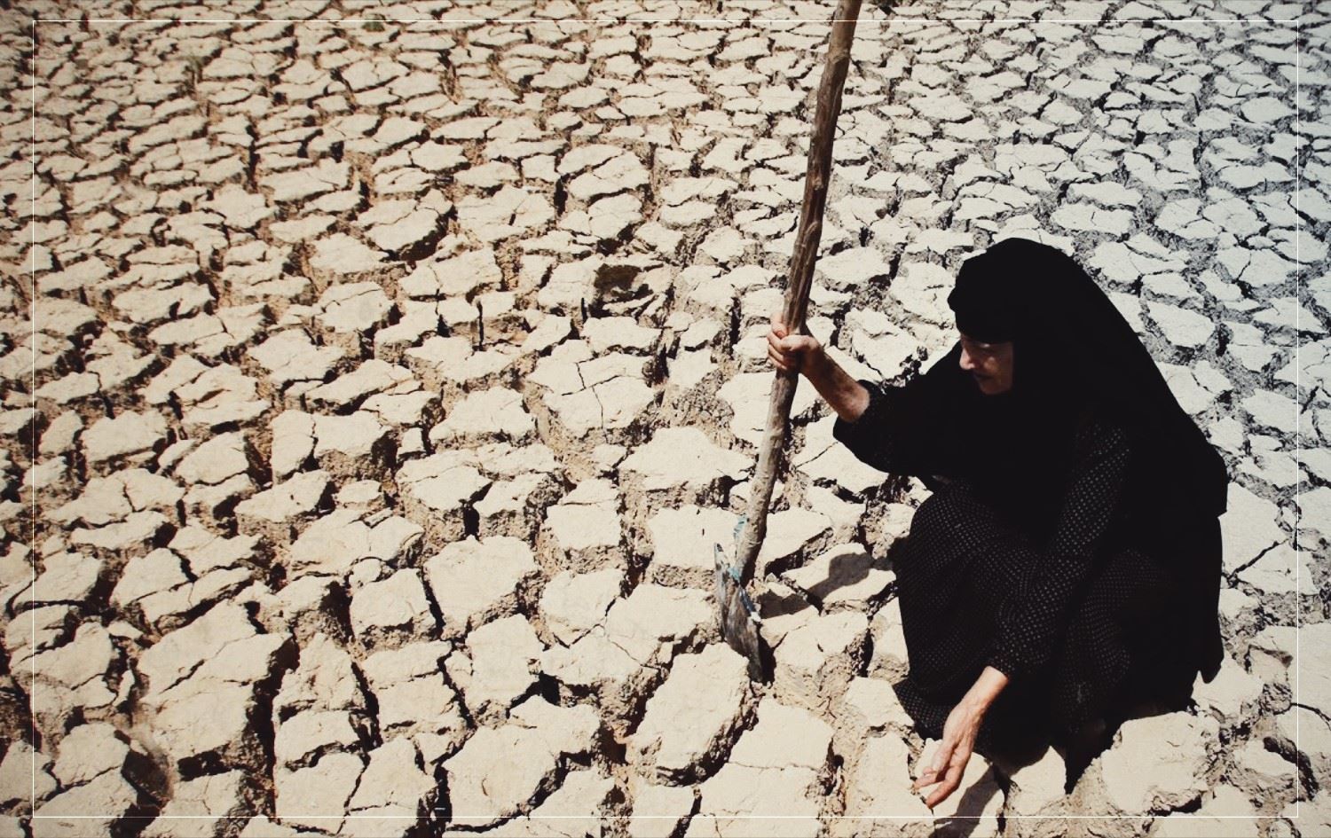 الأمم المتحدة تحذر: العراق يخسر 400 ألف دونم زراعي سنوياً