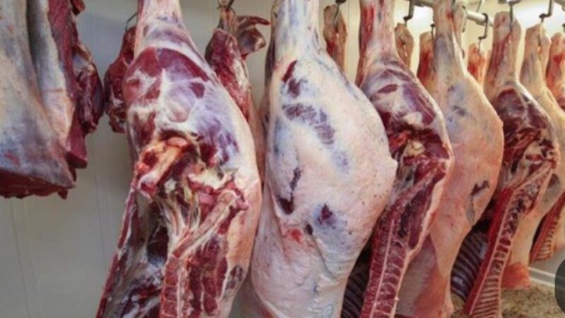 التجارة: أسعار اللحوم سجلت انخفاضا كبيرا في الأسواق المحلية